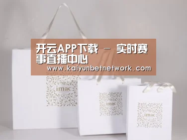 项目名称十一