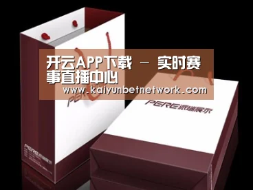 项目名称十二