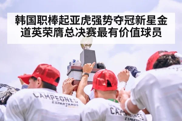 韩国职棒起亚虎强势夺冠新星金道英荣膺总决赛最有价值球员