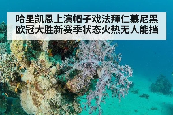哈里凯恩上演帽子戏法拜仁慕尼黑欧冠大胜新赛季状态火热无人能挡